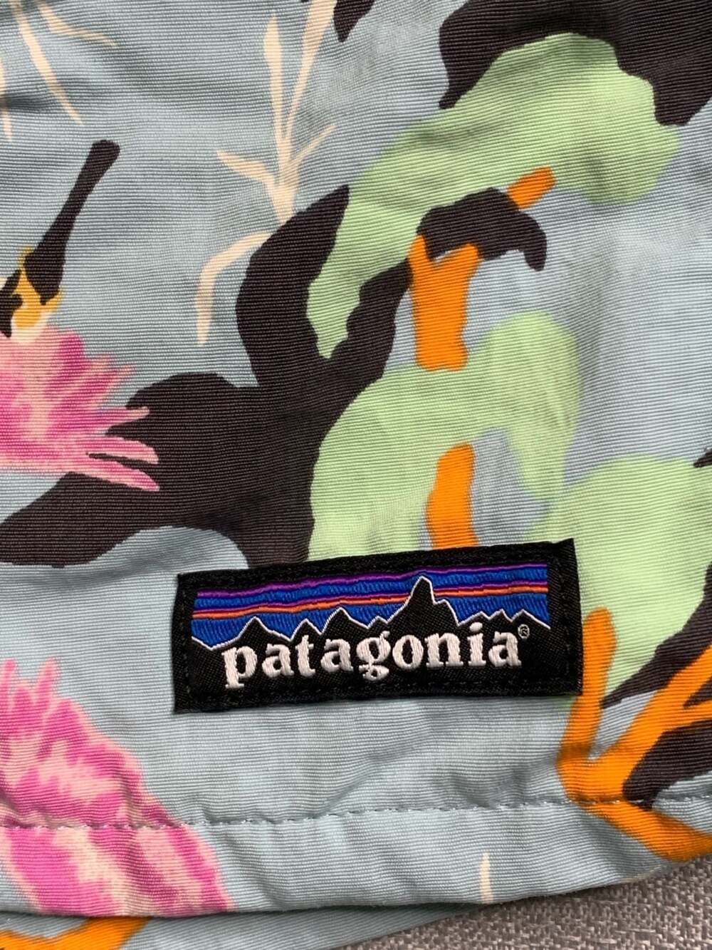 Patagonia Baggies 5" Shorts Flying Crane Spring 2020